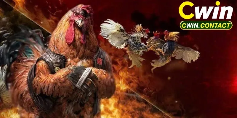 Hỗ trợ gà uy tín trên thị trường quốc tế