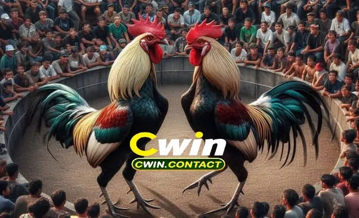 Những Sai Lầm Tân Binh Cần Tránh