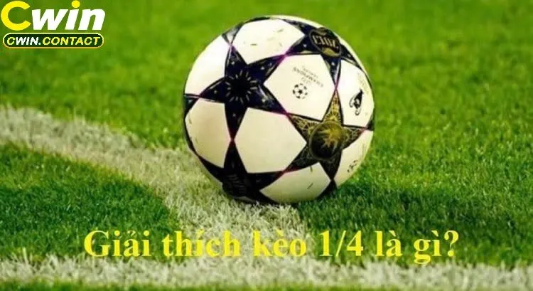Kèo chấp 1/4 là gì? Hướng dẫn chi tiết cách đọc và bắt kèo hiệu quả 2 Cách đọc kèo chấp 1/4 chính xác
